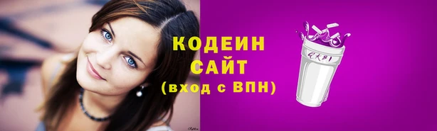 мет Бородино