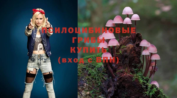 мет Бородино