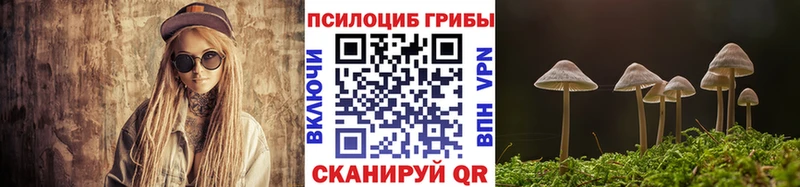 Псилоцибиновые грибы GOLDEN TEACHER  Сочи 